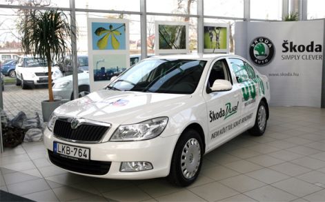 20091127skodaocta1.jpg